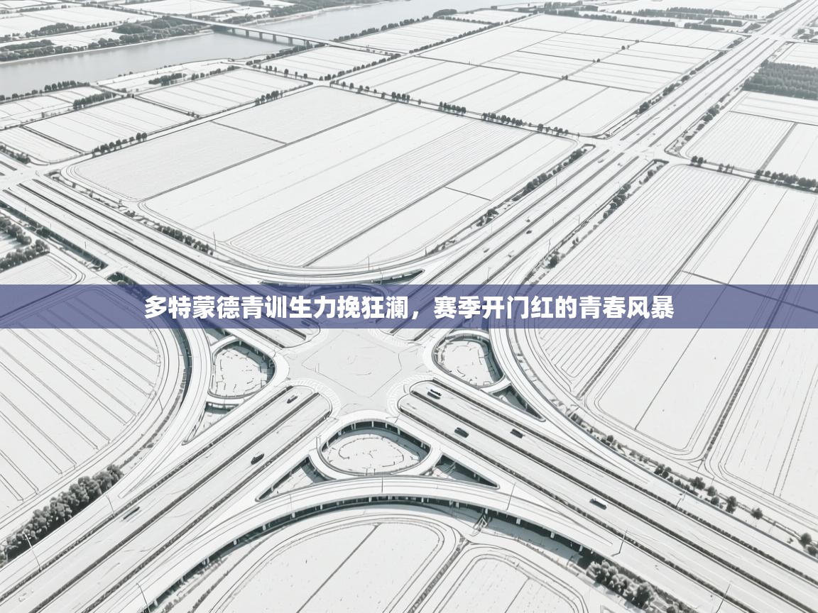 多特蒙德青训生力挽狂澜，赛季开门红的青春风暴  第2张